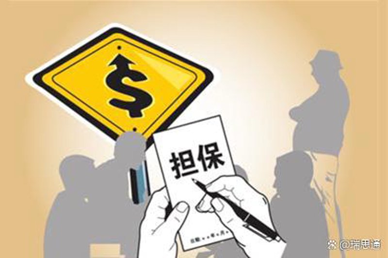 重庆信用担保：小微企业发展的坚实后盾