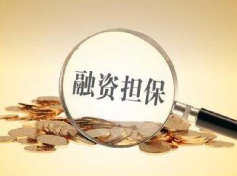 融资担保公司的前世今生:从传统到现代